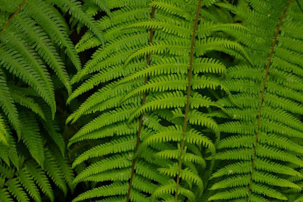 Poteaux de guidage : choisissez la solution idéale pour vous