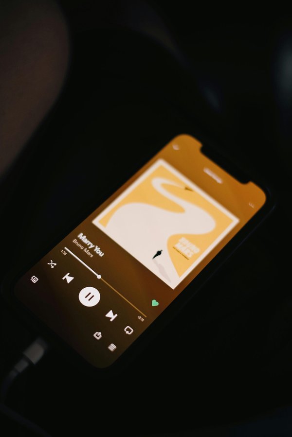 Avis distrokid : pourquoi choisir cette plateforme de distribution ?